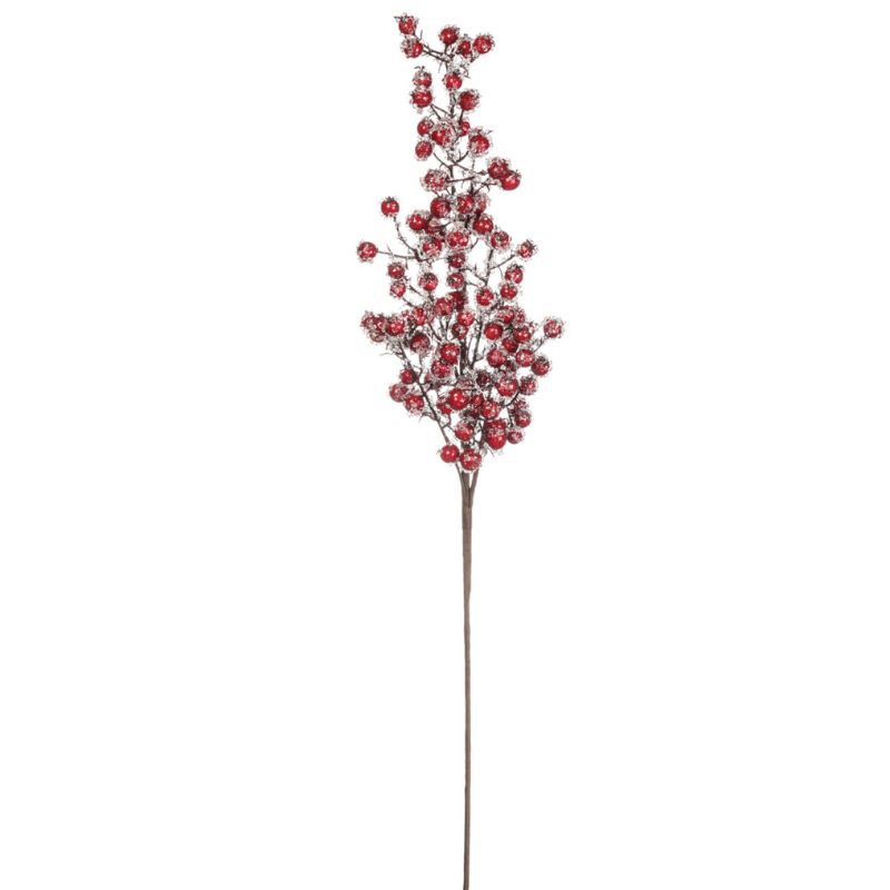 Berry With Ice Spray